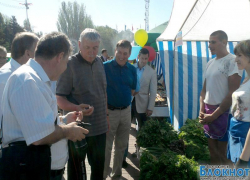 На ярмарку в Волгодонск приехал министр