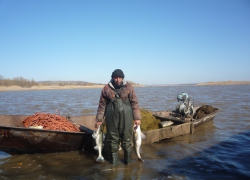 В Цимлянском водохранилище выловили на треть больше рыбы