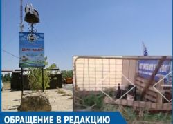 Директор центра «Детская лошадка» пояснила ситуацию с «собакой-убийцей» и «сопливым забором»