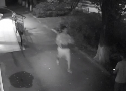 Камера наблюдения сняла, как волгодонцы воруют горшок с цветами у входа в управление здравоохранения 