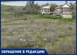 Горы мусора уже 3 месяца лежат перед Свято-Троицким храмом: жители в ярости от бездействия коммунальщиков 