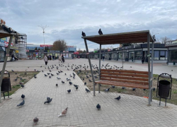Облюбованные голубями лавочки в центре Волгодонска помоют от птичьего помета