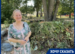 «Тракторист ЖЭКа умер, нового не найдут»: в Донском переулке год некому вывезти кучу травы