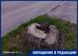 Семья атомщиков из Курской области пришла в ужас от состояния улицы Ленина в Волгодонске