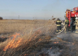 Камыш горит: в Волгодонске началось выжигание сухой растительности