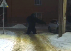 Неожиданный гость на Советской: волгодонцы обсуждают «гориллу» во дворе