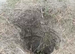 Собака провалилась в глубокий колодец в новом городе, она еще жива, туда же могут упасть дети