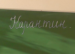 15 классов в школах Волгодонска закрыли на карантин