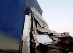 На трассе Ростов-Волгодонск произошло жуткое ДТП - читатель