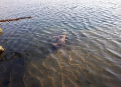 В Цимлянском районе нашли тело утонувшего парня 