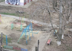 "Никого же не убило" - как в волгодонских дворах пилят деревья