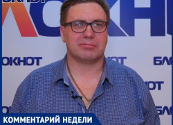Стерилизация или контрацептивы: как волгодонцам помочь своим животным