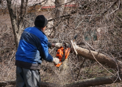Сильный ветер повалил деревья, повредил три остановки, разрушил стелу строителям и свалил несколько рекламных щитов в Волгодонске