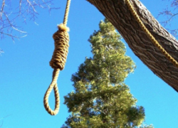 Молодого мужчину нашли повешенным на даче в Волгодонске