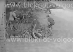 Стала известна судьба зверски избитого пьяной толпой молодого человека