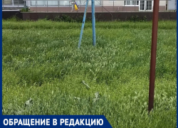 «Аллергики же просто задохнутся!»: горожанка шокирована травой по колено в центре города