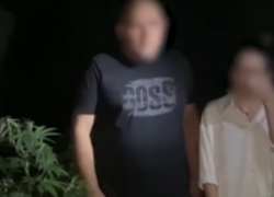 «Выращивал помидоры, а оказалась конопля»: владелец наркоплантации в станице Романовской был задержан полицией
