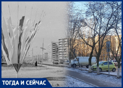Улица 30 лет Победы, которую сегодня не узнать: как выглядел Волгодонск в 80-е годы