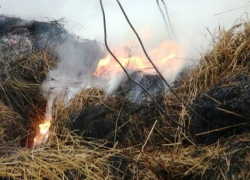 Под Цимлянском на огромном костре сгорело полтонны сена