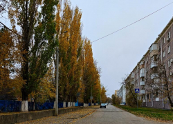 Типичный осенний понедельник ожидает волгодонцев