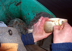 Волгодонец поколотил браконьера, промышлявшего на пруду-охладителе РоАЭС