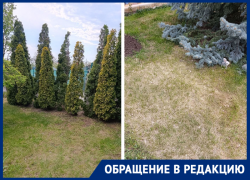 «Всё гибнет и пропадает»: садоводы СНТ «Мичуринец» второй год без полива в мае