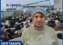 «Мы утопаем в крови и навозе!»: фермер превратил казачий хутор в огромную скотобойню и скотный двор