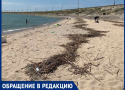 Тухлая рыба на пляже Цимлянска возмутила купальщиков