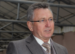 Виктор Мельников потребовал посадку деревьев в Волгодонске, как в Европе