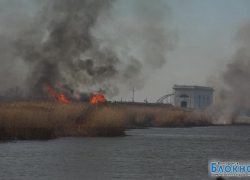 В Волгодонске снова бушуют ландшафтные пожары