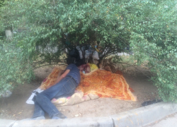Бомжи в центре Волгодонска живут и никого не стесняются – читатель