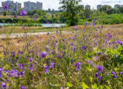 Облачный и ветреный денек будет сегодня в Волгодонске 