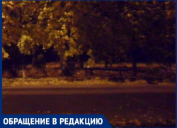 «В кромешной темноте у лицея Политэк» страшно ходить»: волгодончанка