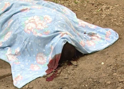 Убийца нанес пенсионерке 8 ножевых ранений и бросил ее тело на старом кладбище Волгодонска