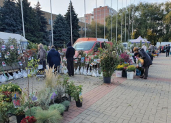 В предстоящую субботу волгодонцев и гостей города приглашают на ярмарку «выходного дня»