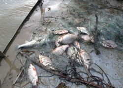 Сотрудники транспортной полиции поймали браконьера в акватории Цимлянского водохранилища