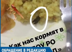 Студенты техникума ВТИТБиД пожаловались на тараканов в еде из столовой