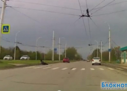 В Волгодонске на пешеходном переходе Citroen сбил женщину (ВИДЕО)