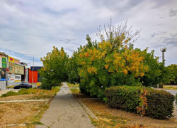 Сегодня в Волгодонске будет солнечно