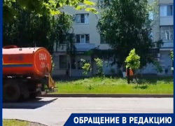 «В жару поливайте деревья, а не когда накрывают дожди!»: горожанка переживает за судьбу насаждений на Ленина