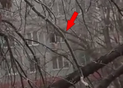 В Волгодонске голый мужчина, забравшийся в окно 2-ого этажа, попал в объектив видеокамеры 
