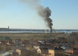 Сухой тростник загорелся в районе спецпричала в Волгодонске 