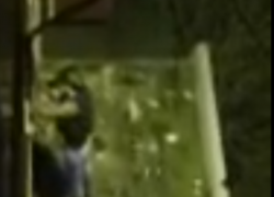 Наша читательница сняла на видео пьяного волгодонца, который залез на козырек подъезда (ВИДЕО)