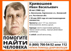 65-летний Иван Кривошеев пропал в хуторе Вислогузов и в данный момент может находиться в Волгодонске