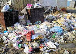 Волгодончанка перепутала тушку кролика с мертвым младенцем