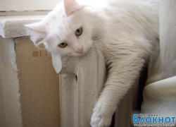 Батареи в домах волгодонцев стали холодными