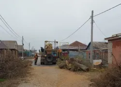 Больше полутора тысяч деревьев спилили в Волгодонске за 2025 год