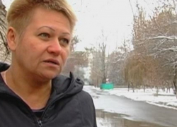 На экс-депутата и директора волгодонского молокозавода Светлану Батакову завели уголовное дело