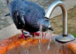 Опасность!: МЧС предупредило волгодонцев о сильной жаре