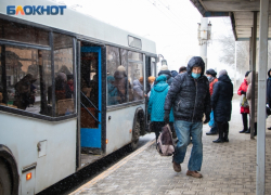 Более тысячи льготников изъявили желание бесплатно ездить в общественном транспорте Волгодонска